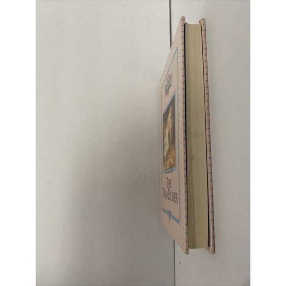 The Two Elsies, Book 11 by‎ Martha Finley (2001, Trade Hardcover) - Picture 3 of 3